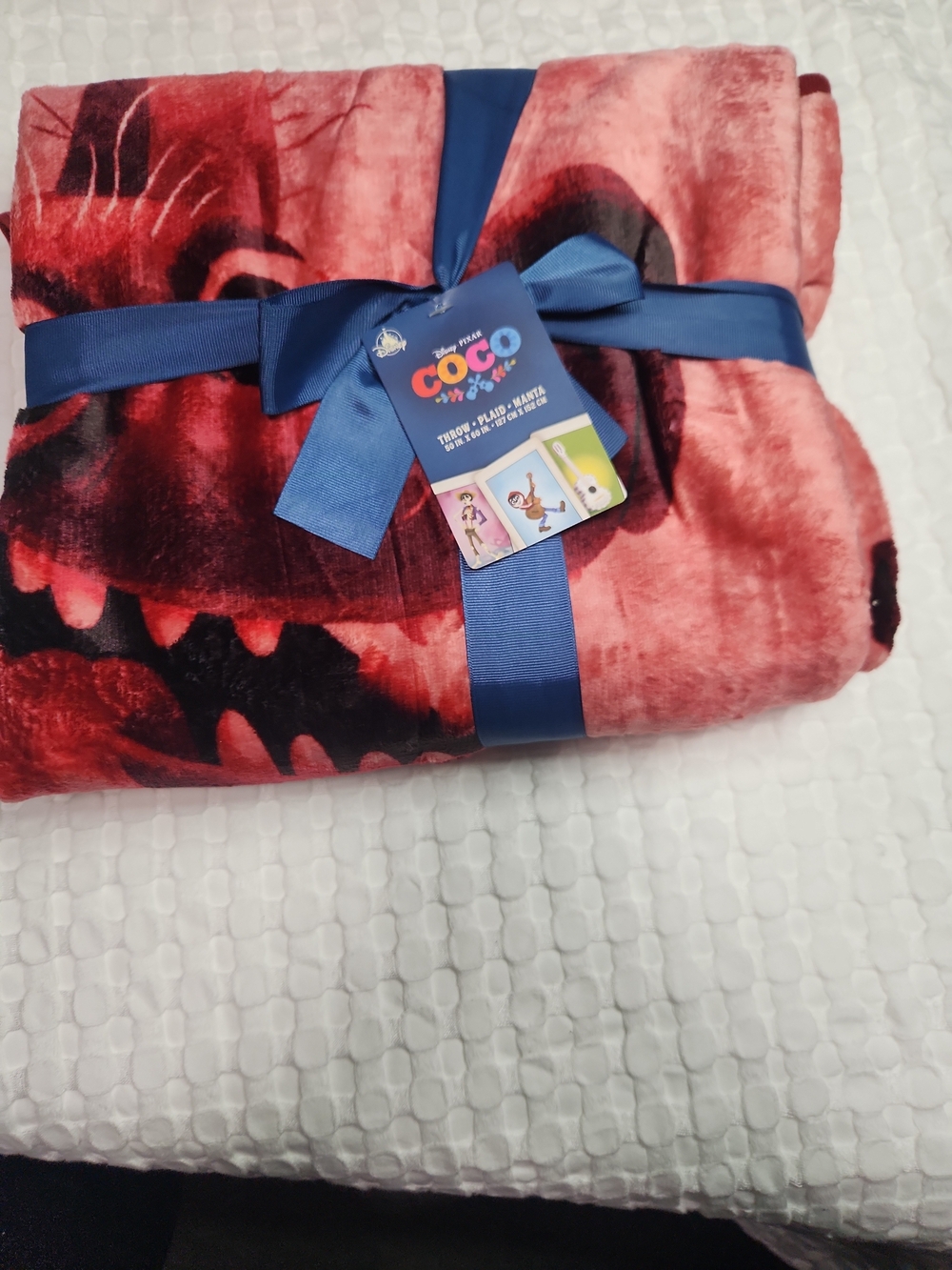 Coco Plush Throw Blanket 50"× 60"
